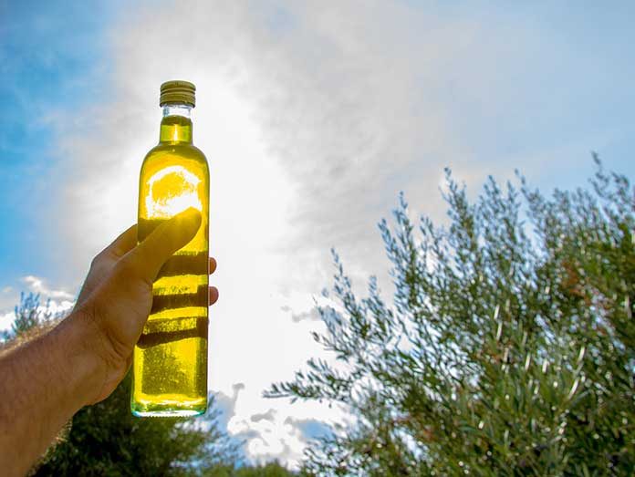Greek olive oil production