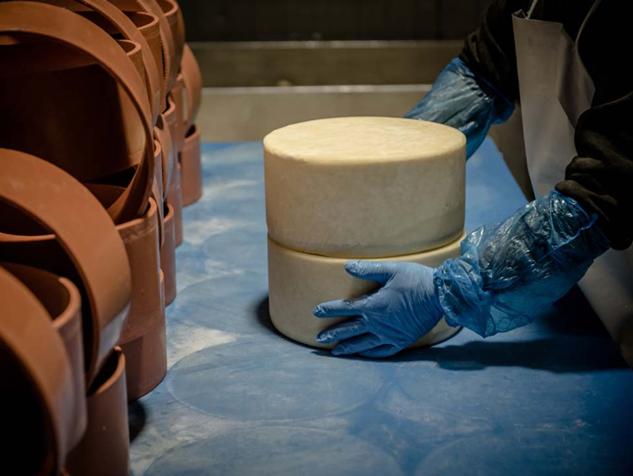 Arseniko naxou - cheese factory production