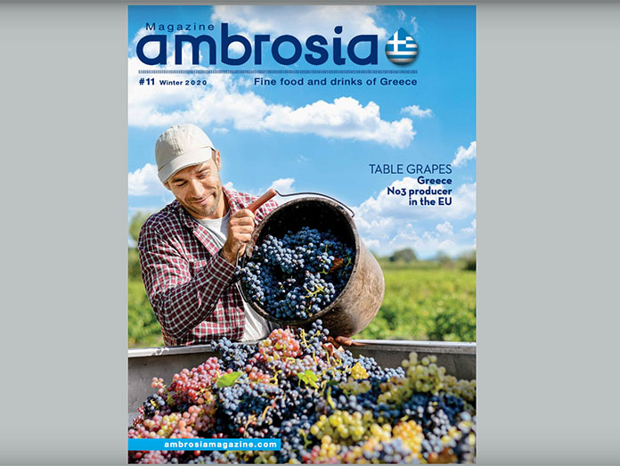 Ambrosia Magazine Issue 11