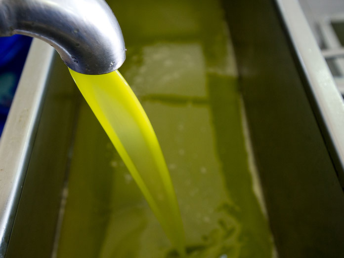 Greek Olive Oil Prices
