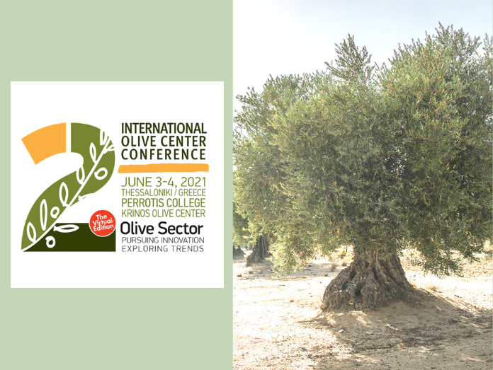 2nd International Olive Center Coference