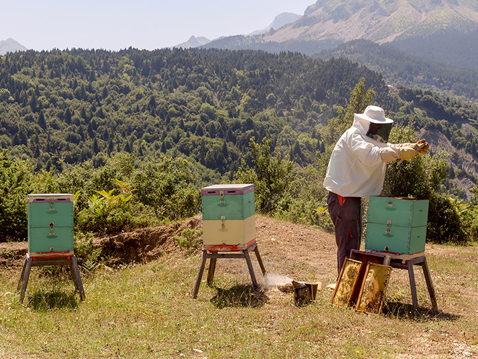 Greek Beekeeping