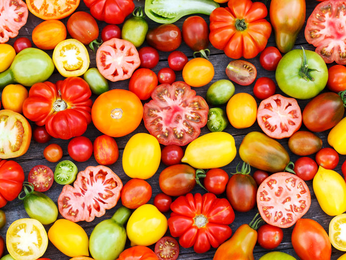 New tomato cultivars