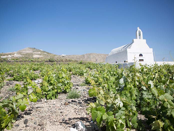 LCBO visits Greek wine regions