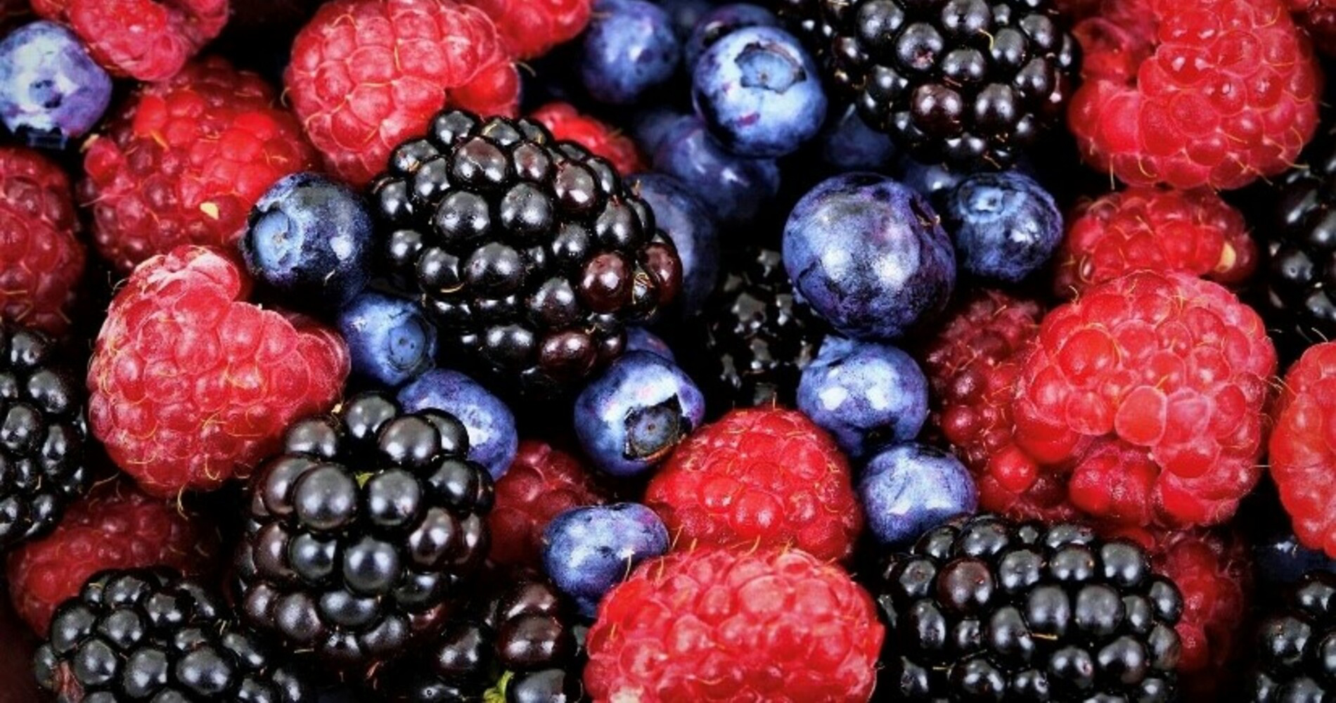 Berries - Friets Program